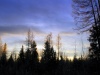 IMG_0040.JPG