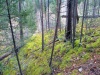IMG_0054.JPG