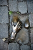 Файл=IMG_9979.JPG
Объём=267KB
Размеры=667x1000
Дата=Июнь 06, 2010 IMG_9979.JPG