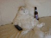 Файл=алкаш.gif
Объём=70KB
Размеры=150x113
Дата=Фев 06, 2007 алкаш.gif