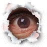 Файл=лупик.gif
Объём=14KB
Размеры=95x95
Дата=Апр 25, 2007 лупик.gif