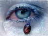 Файл=anguish_small006.jpg
Объём=27KB
Размеры=411x307
Дата=Фев 08, 2007 anguish_small006.jpg