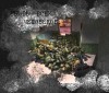 Файл=Untitled-1.jpg
Объём=1230KB
Размеры=1200x1024
Дата=Авг 30, 2007 Untitled-1.jpg