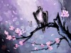 wallpapers_ru_030829_zmet_sakura.jpg