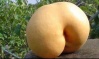 Файл=Овощь8.jpg
Объём=75KB
Размеры=448x266
Дата=Сент 24, 2008 Овощь8.jpg