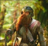 Файл=1452403_gimli.jpg
Объём=18KB
Размеры=311x300
Дата=Дек 23, 2008 1452403_gimli.jpg