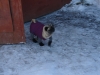Файл=DSC03298.JPG
Объём=1979KB
Размеры=2592x1944
Дата=Нояб 28, 2010 DSC03298.JPG
