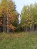SL382843.JPG