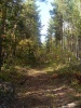 SL382866.JPG