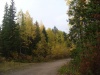 Файл=SL382900.JPG
Объём=417KB
Размеры=1469x1102
Дата=Сент 22, 2008 SL382900.JPG