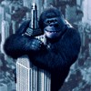 avatar_340.gif