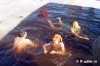 Файл=pics1250.jpg
Объём=43KB
Размеры=500x334
Дата=Янв 17, 2009 pics1250.jpg