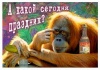 Файл=povod_vipit.JPG
Объём=25KB
Размеры=478x336
Дата=Дек 23, 2008 povod_vipit.JPG