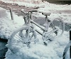 Файл=velo_winter_5.jpg
Объём=13KB
Размеры=200x166
Дата=Янв 10, 2009 velo_winter_5.jpg