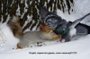Файл=xoxotushka_ru_1356616.jpg
Объём=45KB
Размеры=640x426
Дата=Янв 19, 2009 xoxotushka_ru_1356616.jpg