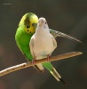 Файл=xoxotushka_ru_54626.jpg
Объём=24KB
Размеры=551x560
Дата=Янв 19, 2009 xoxotushka_ru_54626.jpg