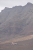 IMGP3165.JPG