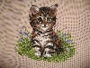 Файл=IMG_0002.gif
Объём=151KB
Размеры=500x375
Дата=Янв 12, 2010 IMG_0002.gif