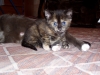 P1010021.JPG