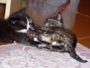P1010032.JPG