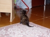 P1010033.JPG