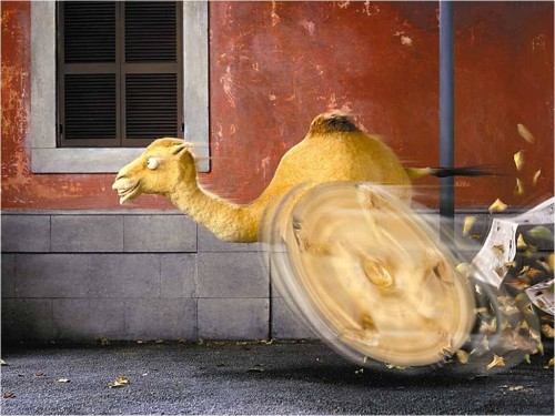 ,     