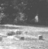 Файл=1178226374_2007_05_01_ghost05.jpg
Объём=14KB
Размеры=349x356
Дата=Май 04, 2007 1178226374_2007_05_01_ghost05.jpg