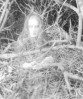 1178226374_2007_05_01_ghost12.jpg