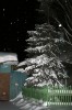 Файл=P2020020.jpg
Объём=139KB
Размеры=600x900
Дата=Март 18, 2007 P2020020.jpg