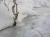 Файл=P2200093.jpg
Объём=50KB
Размеры=800x600
Дата=Март 18, 2007 P2200093.jpg