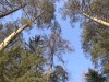 Файл=P3040849.jpg
Объём=215KB
Размеры=800x600
Дата=Март 18, 2007 P3040849.jpg