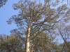 Файл=P3040852.jpg
Объём=225KB
Размеры=800x600
Дата=Март 18, 2007 P3040852.jpg