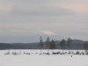 Файл=P3221342.jpg
Объём=33KB
Размеры=800x600
Дата=Март 22, 2007 P3221342.jpg