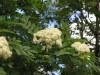 Файл=P6011076.jpg
Объём=118KB
Размеры=800x600
Дата=Март 18, 2007 P6011076.jpg