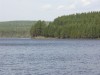Файл=P6062318.jpg
Объём=103KB
Размеры=800x600
Дата=Март 18, 2007 P6062318.jpg