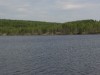 Файл=P6062319.jpg
Объём=84KB
Размеры=800x600
Дата=Март 18, 2007 P6062319.jpg