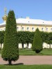 Файл=P7021573.jpg
Объём=147KB
Размеры=600x800
Дата=Март 18, 2007 P7021573.jpg