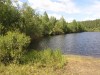 Файл=P7142158.jpg
Объём=190KB
Размеры=800x600
Дата=Март 18, 2007 P7142158.jpg