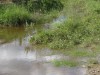 Файл=P7142217.jpg
Объём=184KB
Размеры=800x600
Дата=Март 18, 2007 P7142217.jpg