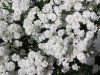 Файл=P7263365.jpg
Объём=136KB
Размеры=800x600
Дата=Март 18, 2007 P7263365.jpg