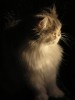 Файл=P8244089.jpg
Объём=49KB
Размеры=600x800
Дата=Март 18, 2007 P8244089.jpg