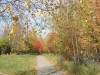 Файл=P9242743.jpg
Объём=251KB
Размеры=800x600
Дата=Март 18, 2007 P9242743.jpg