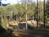 Файл=PA092902.jpg
Объём=193KB
Размеры=800x600
Дата=Март 18, 2007 PA092902.jpg