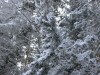 Файл=PC250179.jpg
Объём=157KB
Размеры=800x600
Дата=Март 18, 2007 PC250179.jpg