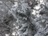 Файл=PC250181.jpg
Объём=92KB
Размеры=800x600
Дата=Март 18, 2007 PC250181.jpg