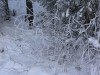 Файл=PC250190.jpg
Объём=134KB
Размеры=800x600
Дата=Март 18, 2007 PC250190.jpg