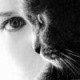 cat58_20060709_1559987828.jpg