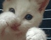 Файл=Изображение_493.gif
Объём=17KB
Размеры=101x80
Дата=Май 04, 2007 Изображение_493.gif