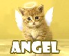 Файл=Изображение_495.gif
Объём=20KB
Размеры=176x144
Дата=Май 04, 2007 Изображение_495.gif