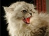 Файл=Изображение_505.jpg
Объём=84KB
Размеры=1024x768
Дата=Май 03, 2007 Изображение_505.jpg